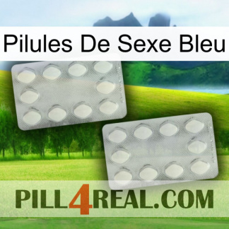 Blue Sex Pills 17